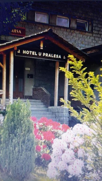 Kopretina Apartment Cerne Udoli Luaran gambar