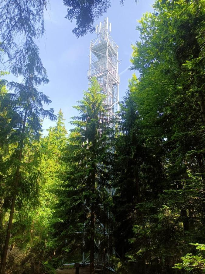 Kopretina Apartment Cerne Udoli Luaran gambar