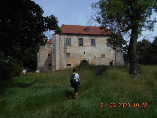 Kopretina Apartment Cerne Udoli Luaran gambar